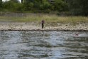 Uebung BF Taucher und Presse Koeln Zoobruecke Rhein P080